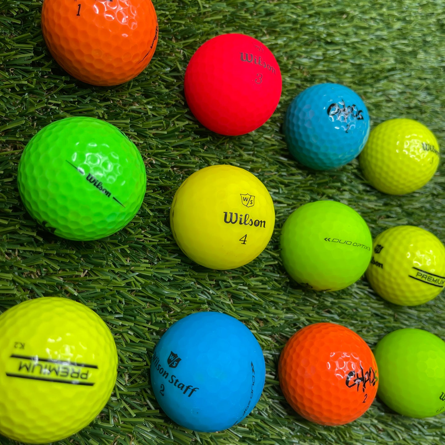 12 Wilson (Assorted Color)